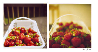 Strawberries