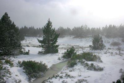 Sierra de Cebollera en invierno