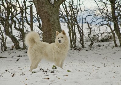 DSC_6464 Dakota 