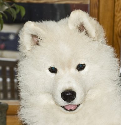 DSC_5507 Coco