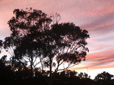Sunrise at Kalbarri, Western Australia.