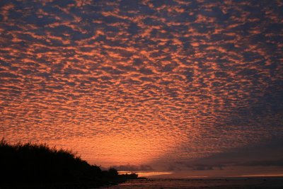 Cook Island Sunset