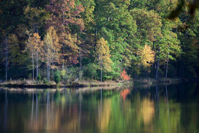 Across the lake