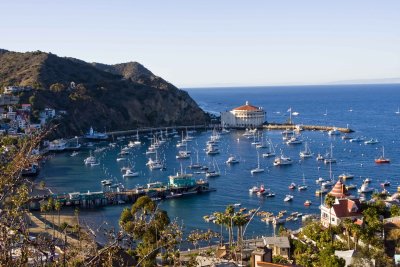 catalina marina, LA