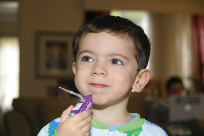 Nicolas Juice Box.JPG