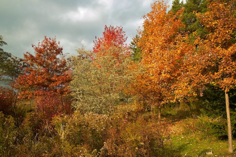 Colours