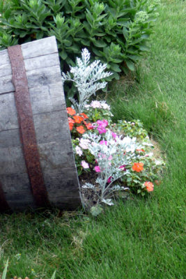 barrel garden profile.jpg