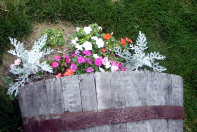 barrel garden.jpg