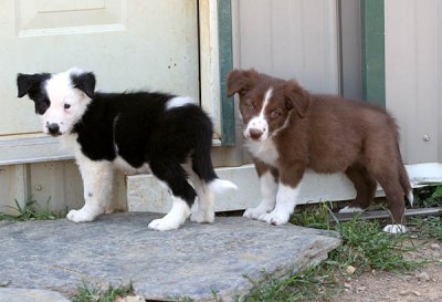 Lou and Russ 7 weeks