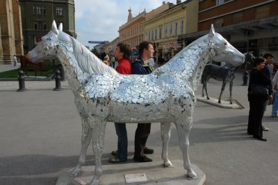 Doublehorse in Novi Sad