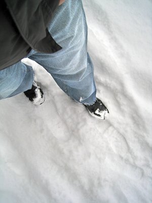 IMG_0168.jpg
