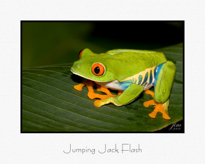 Jumping Jack Flash.jpg