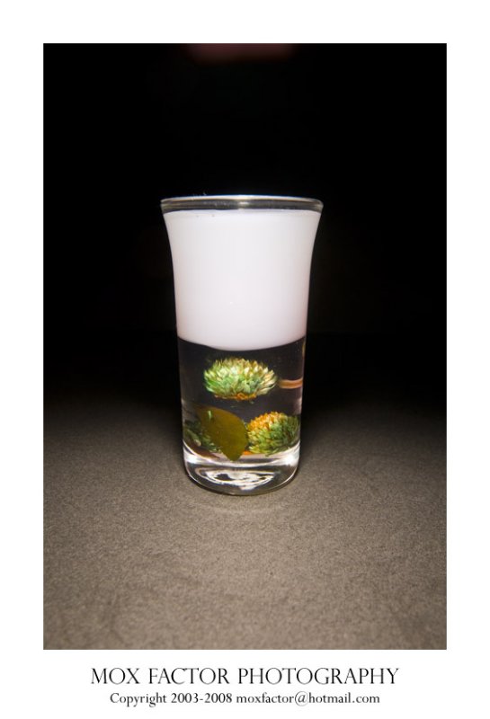 Test 06.jpg
