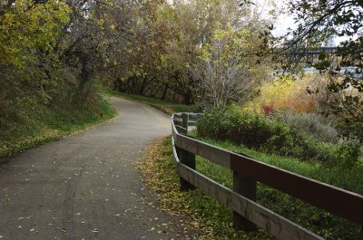 Trail