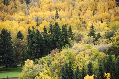 River Valley