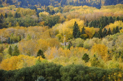 River Valley Colors