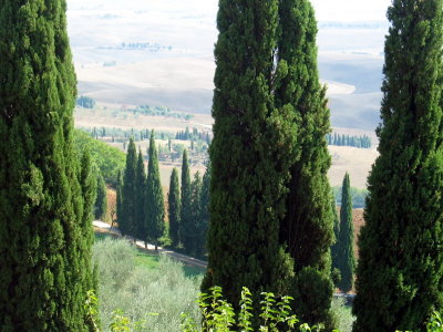 Pienza - View of Tuscany Countryside