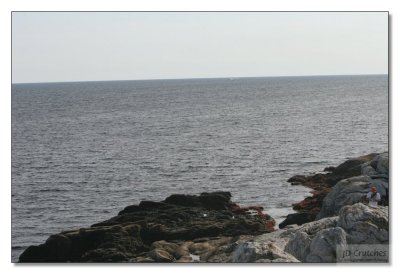 Maine Coast 79.jpg