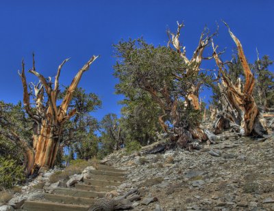 death_valley