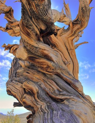 Weathered.jpg