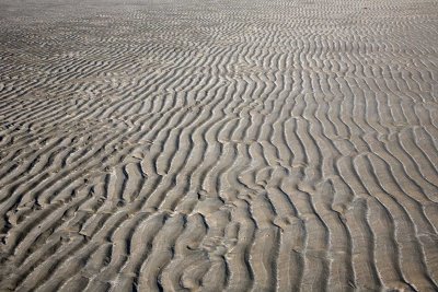 Ripples Left as the Tide Goes Out