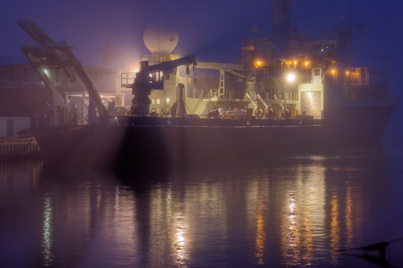 November : Woods Hole
