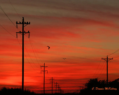 Power lines