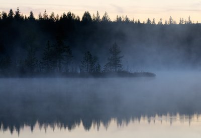 Evening at a forest lake