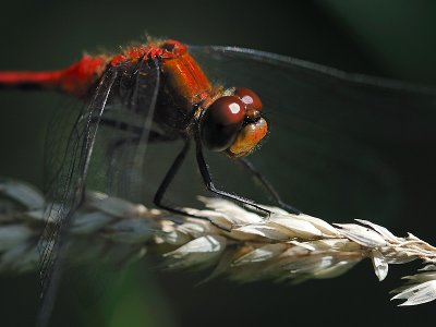 080801_05.jpg