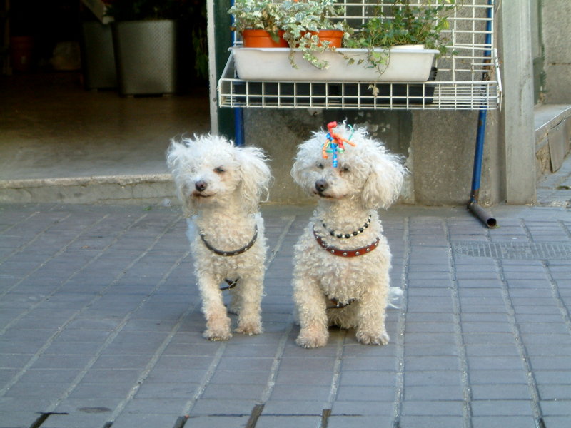 3 - Madrid 023.jpg
