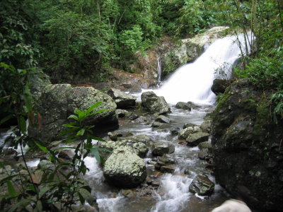 2_rainforest_trekking_25.jpg