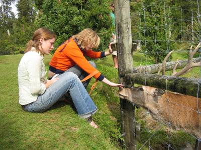 13_frans_joseph_05.jpg
