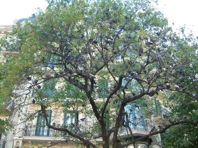2 - Barcelona 018.jpg