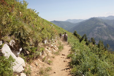Mt Defiance July 17, 2008
