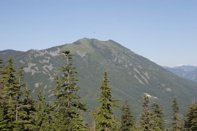 _MG_0303.JPG