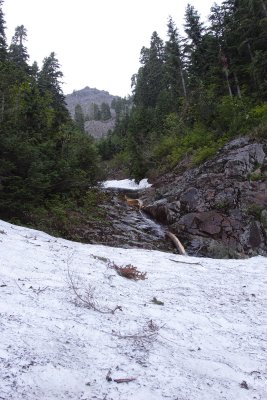 _MG_0320.JPG