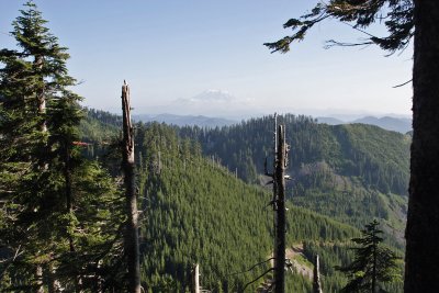 _MG_0333.JPG