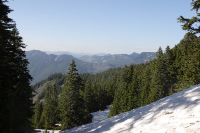 _MG_0335.JPG
