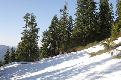 _MG_0337.JPG