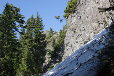 _MG_0339.JPG