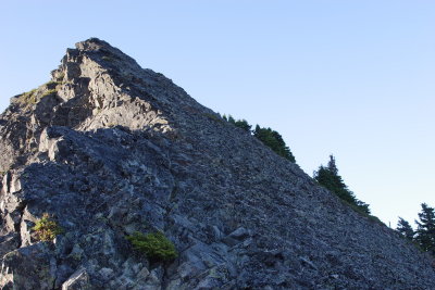 _MG_0381.JPG
