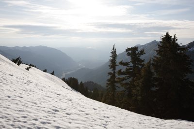 _MG_8590.JPG