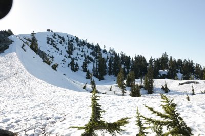 _MG_9263.JPG