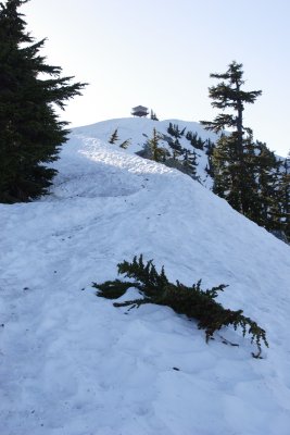 _MG_9478.JPG