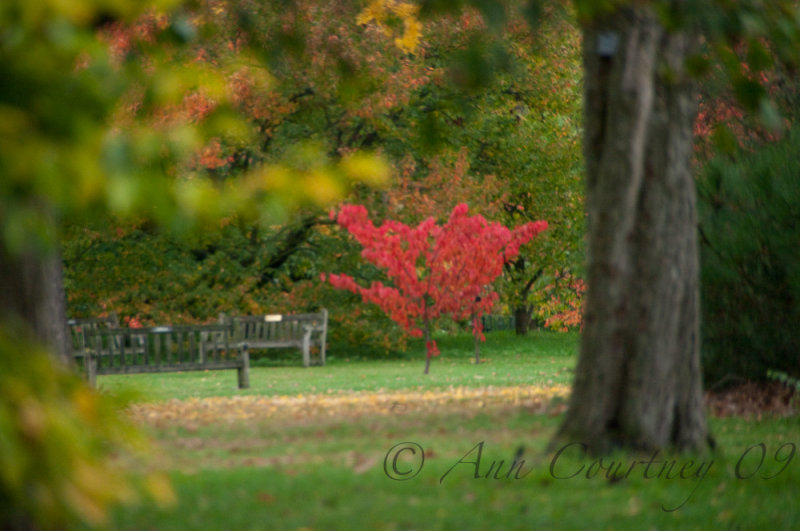 dreamy splash of colour