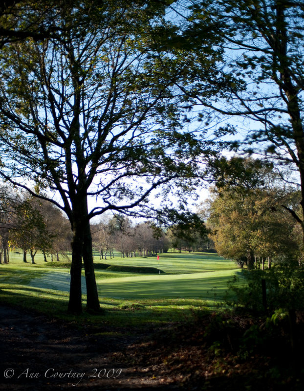 Down the fairway