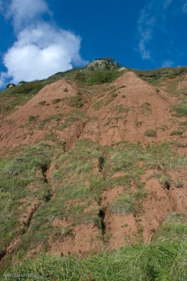 Red cliffs