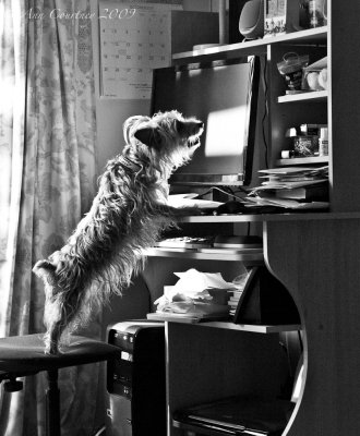 I know it's here somewhere
