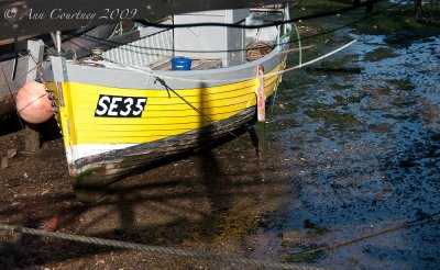  SE35