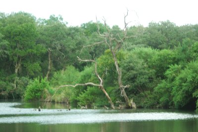 67CooksSlough 026.JPG
